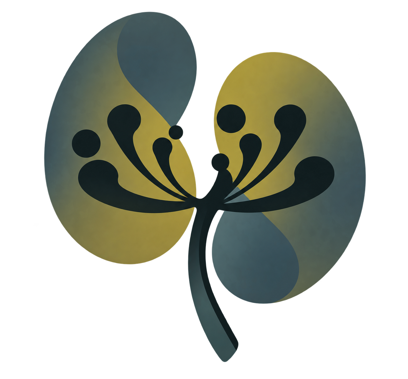 Logo Dr. Mathias Grohe